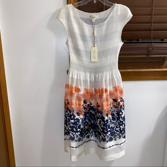 Max Studio Speciality Product Fit & Flare Dress XS - Picture 1 of 7